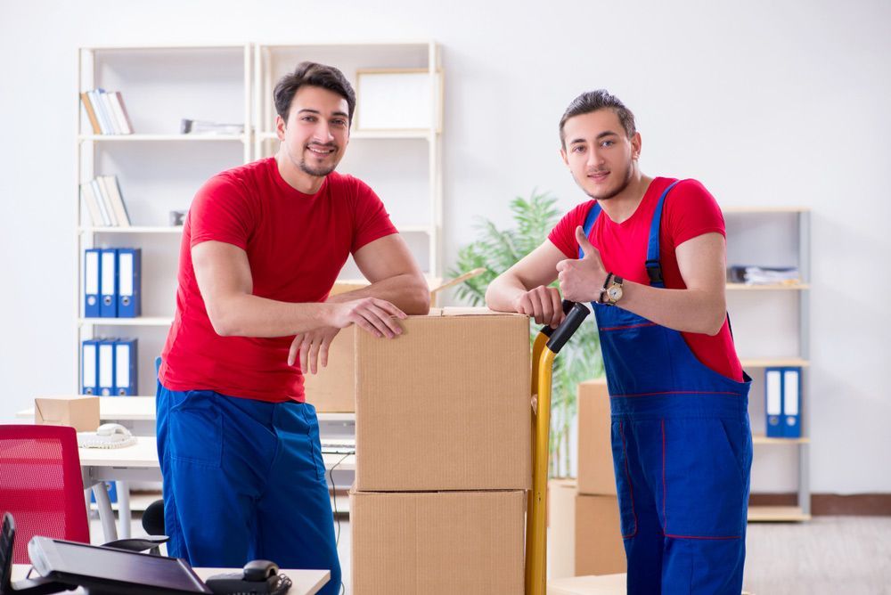 Two Movers Are Standing Next to Each Other in an Office — Davis Removals & Storage in Townsville, QLD