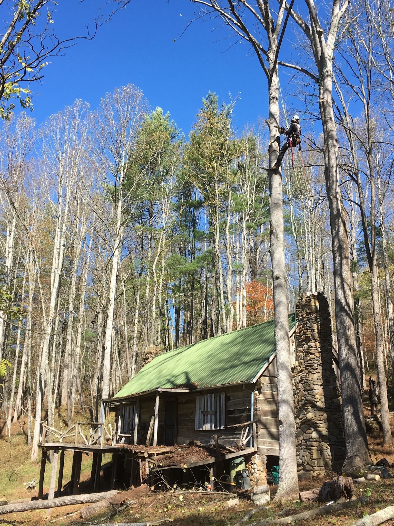 Person in tree trims branches near a rustic cabin with green roof on a sunny day.