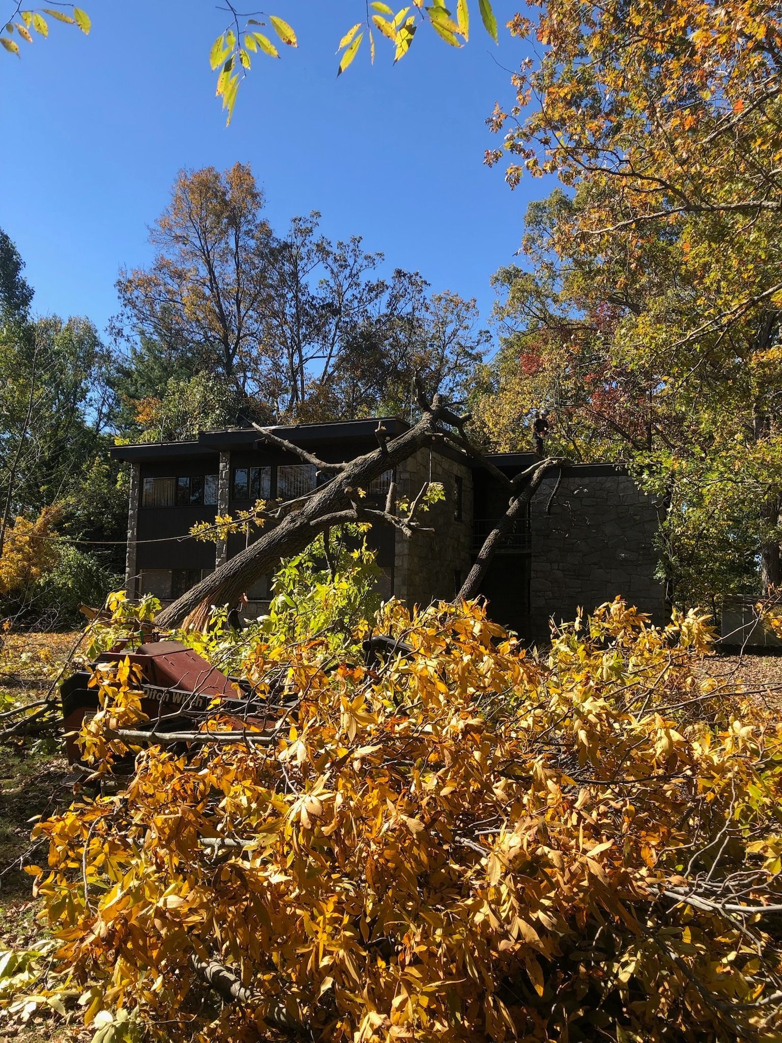 House with stone walls and a fallen tree in autumn foliage.