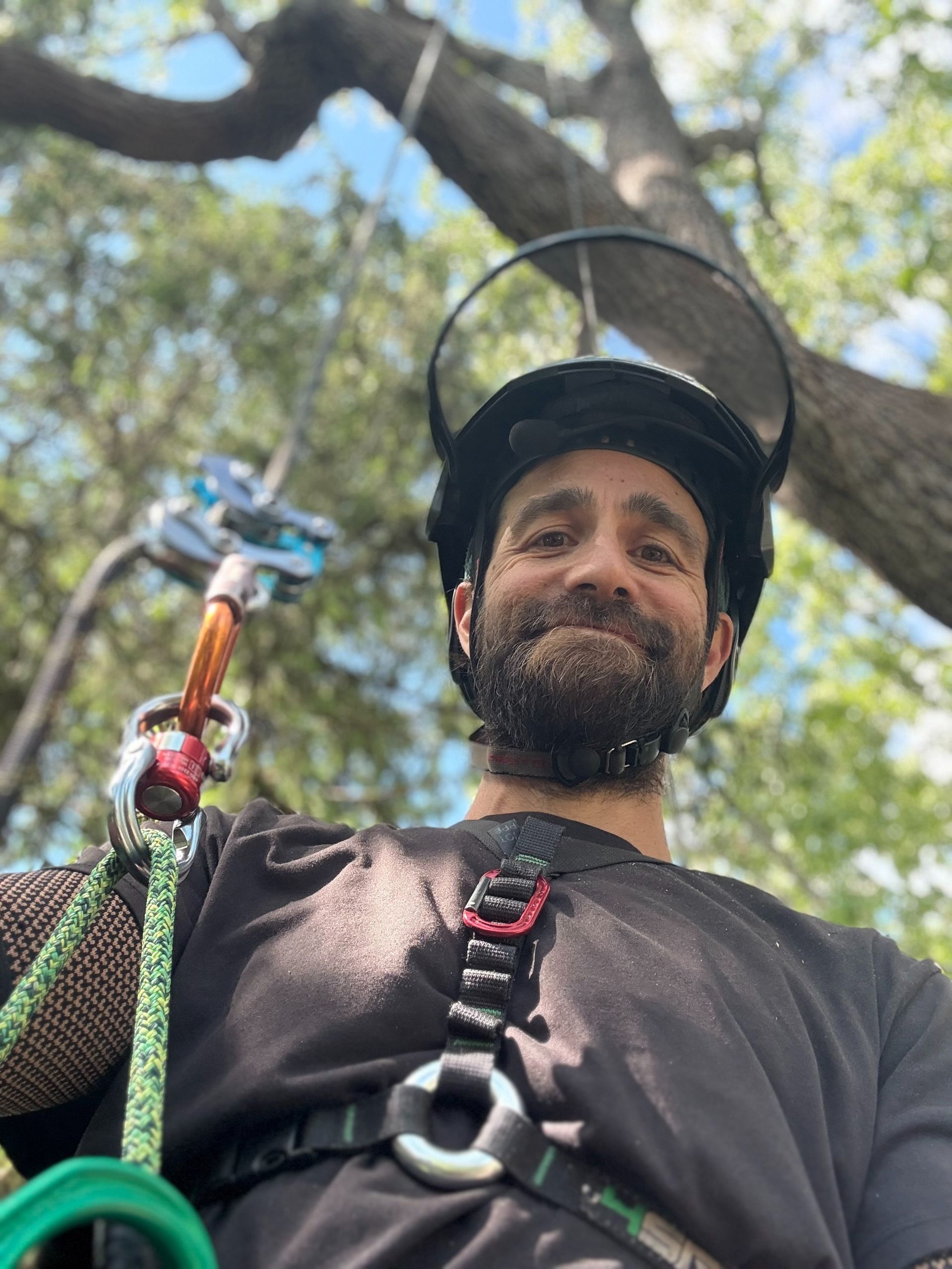 Arborist in safety gear, smiling, looking up from tree. Green rope, blue pulleys, helmet with face shield.