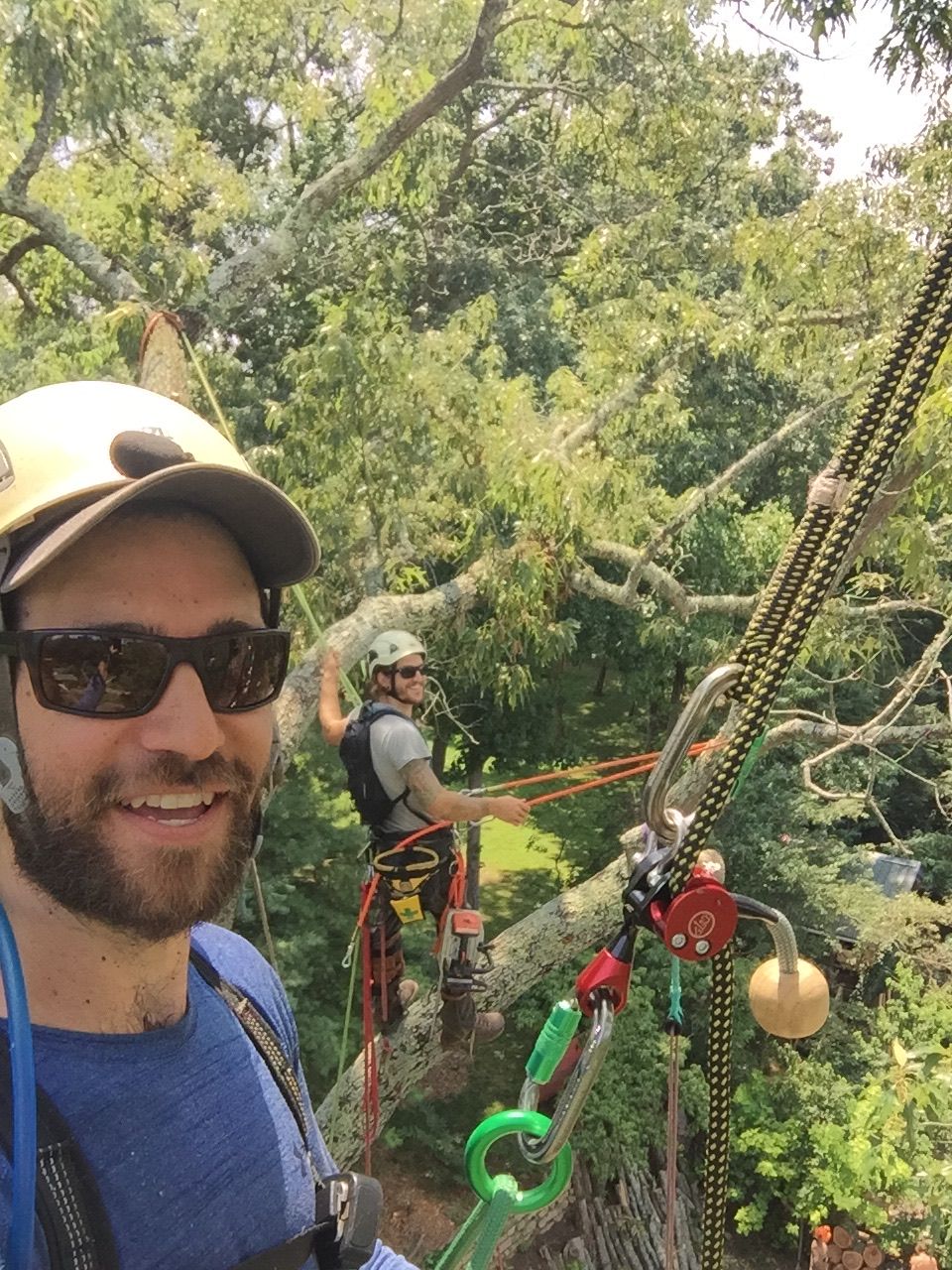 Two tree climbers, one taking a selfie, on a sunny day in the branches of a tree.