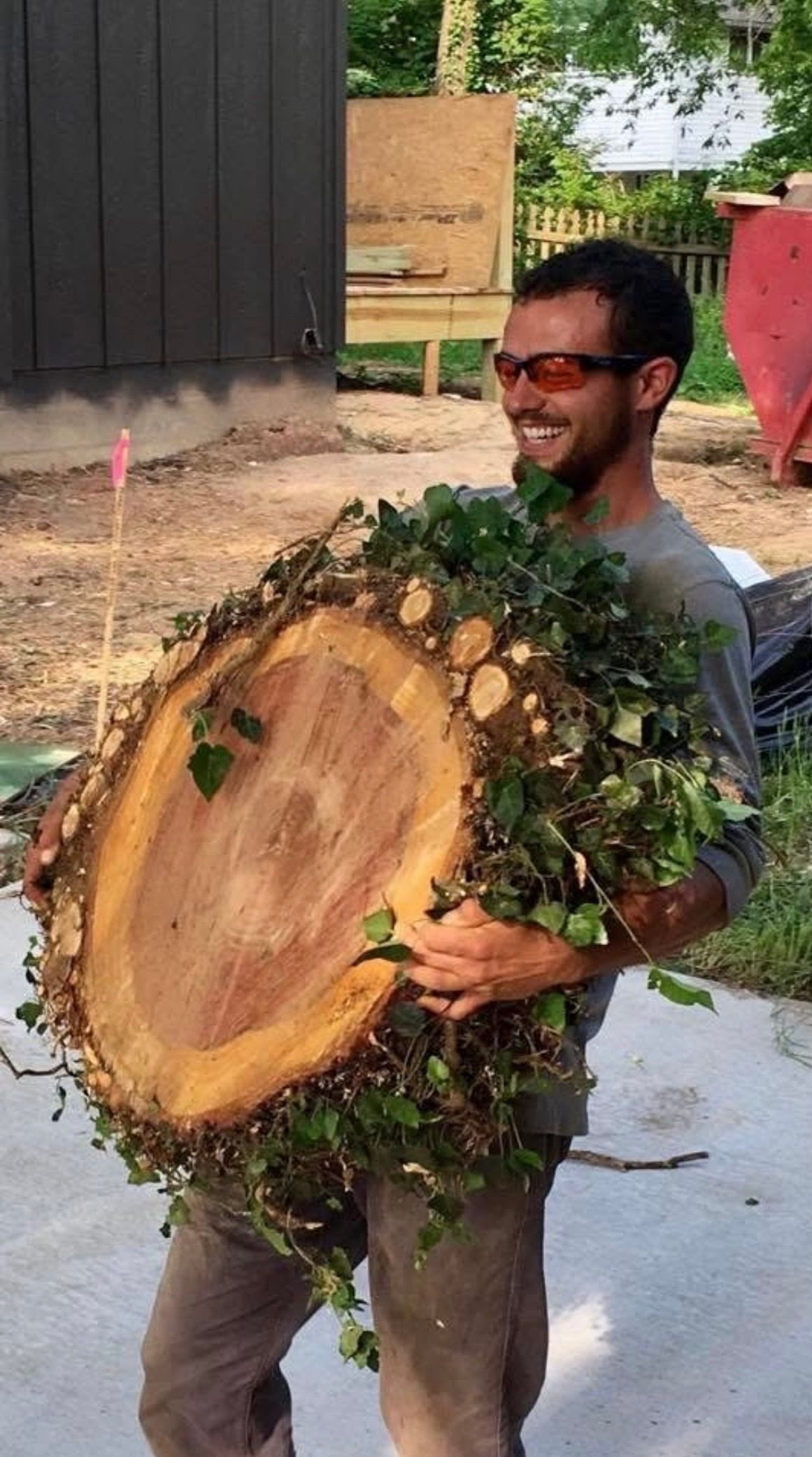 Man smiling, carrying large tree cross-section covered with green leaves. Outdoors, sawdust in air.