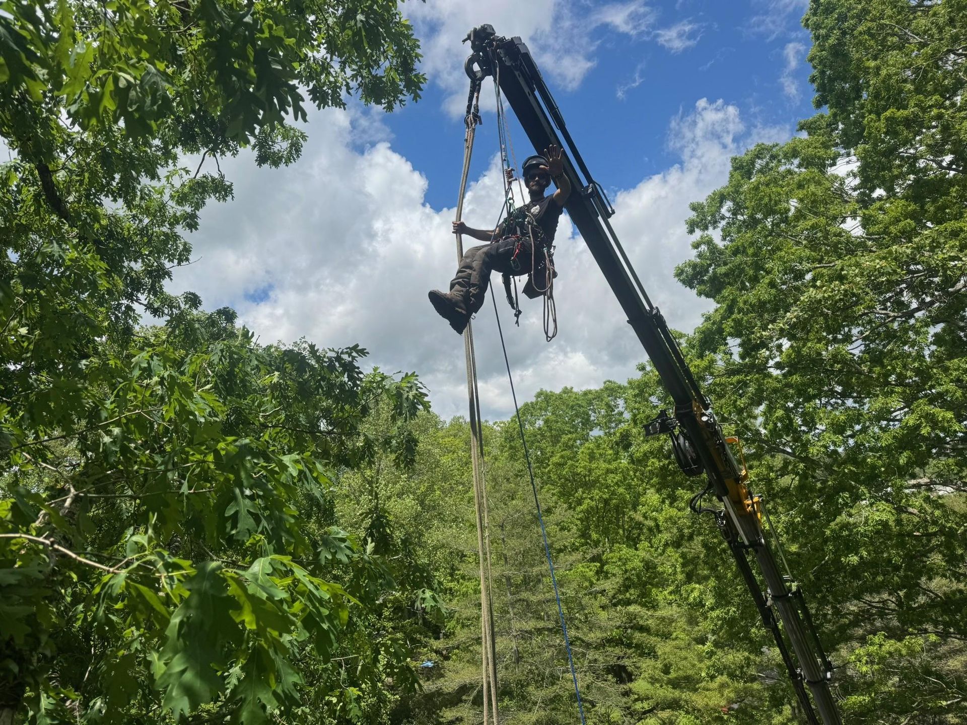 Arborist in a lift trimming tree branches against a cloudy sky.