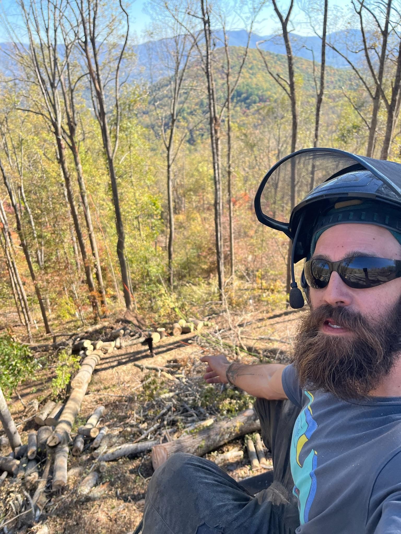 Man with beard and safety gear points toward a cleared area with logs and trees against a mountain backdrop.