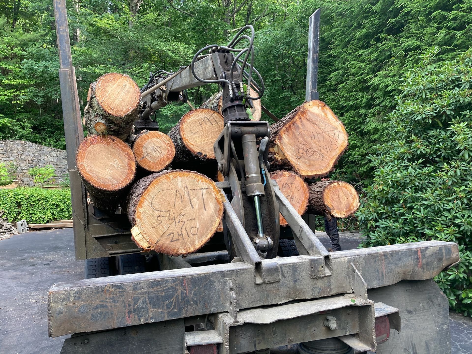 Log truck loaded with cut logs, outdoors.