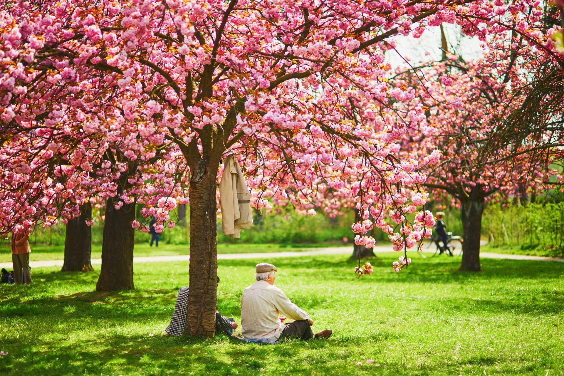 senior activities for seniors this spring in Western Massachusetts