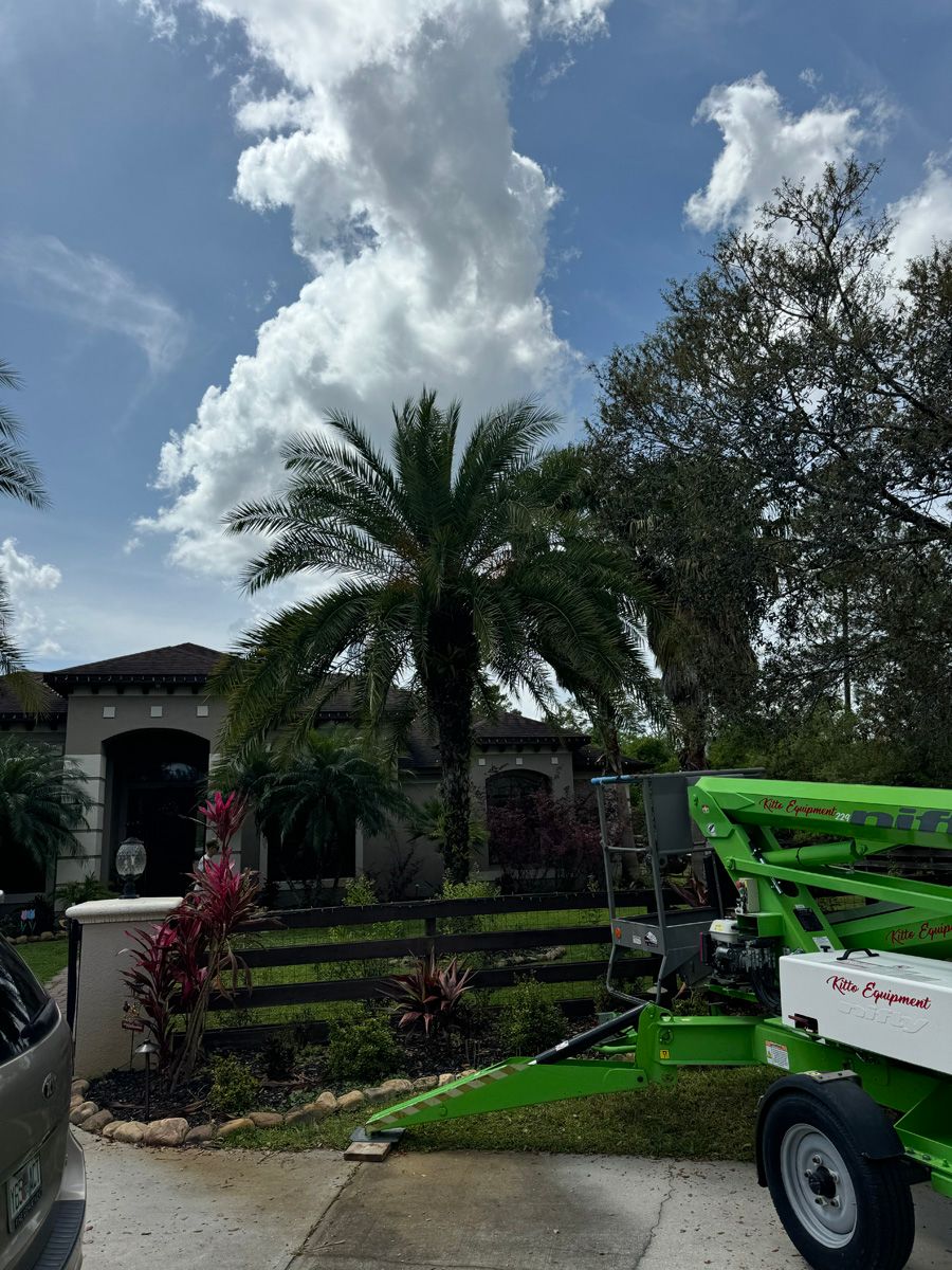 House with palm trees and manicured lawn, with a green lift truck in the foreground under a cloudy sky