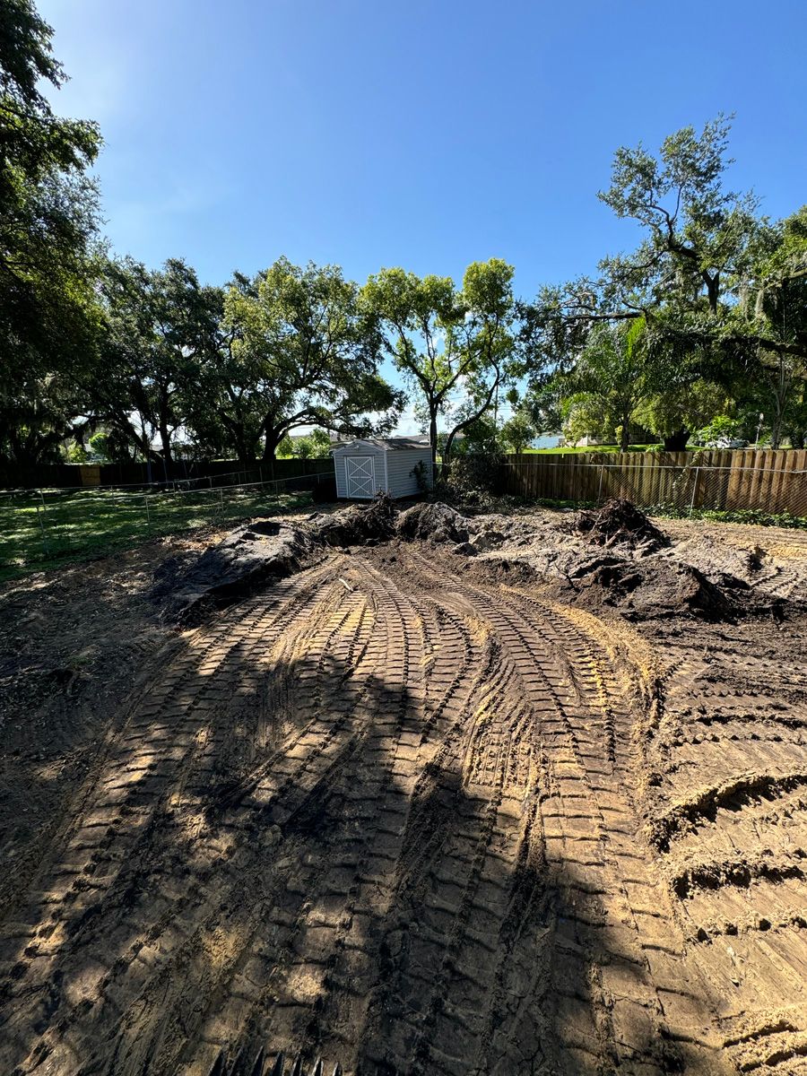 Cleared dirt lot with tire tracks, trees, and a small white shed under a bright blue sky