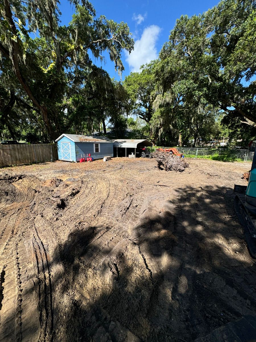 Backyard with a dug-out dirt area, large trees, and a small blue shed in the background.