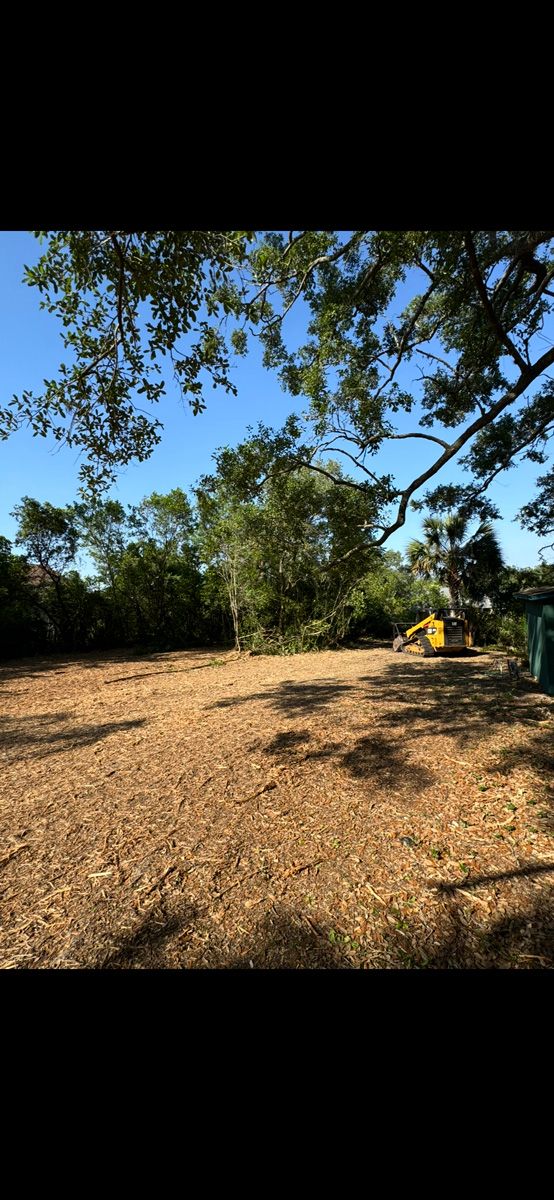 Sunny wooded clearing with a dirt path, trees overhead, and a small yellow excavator in the distance
