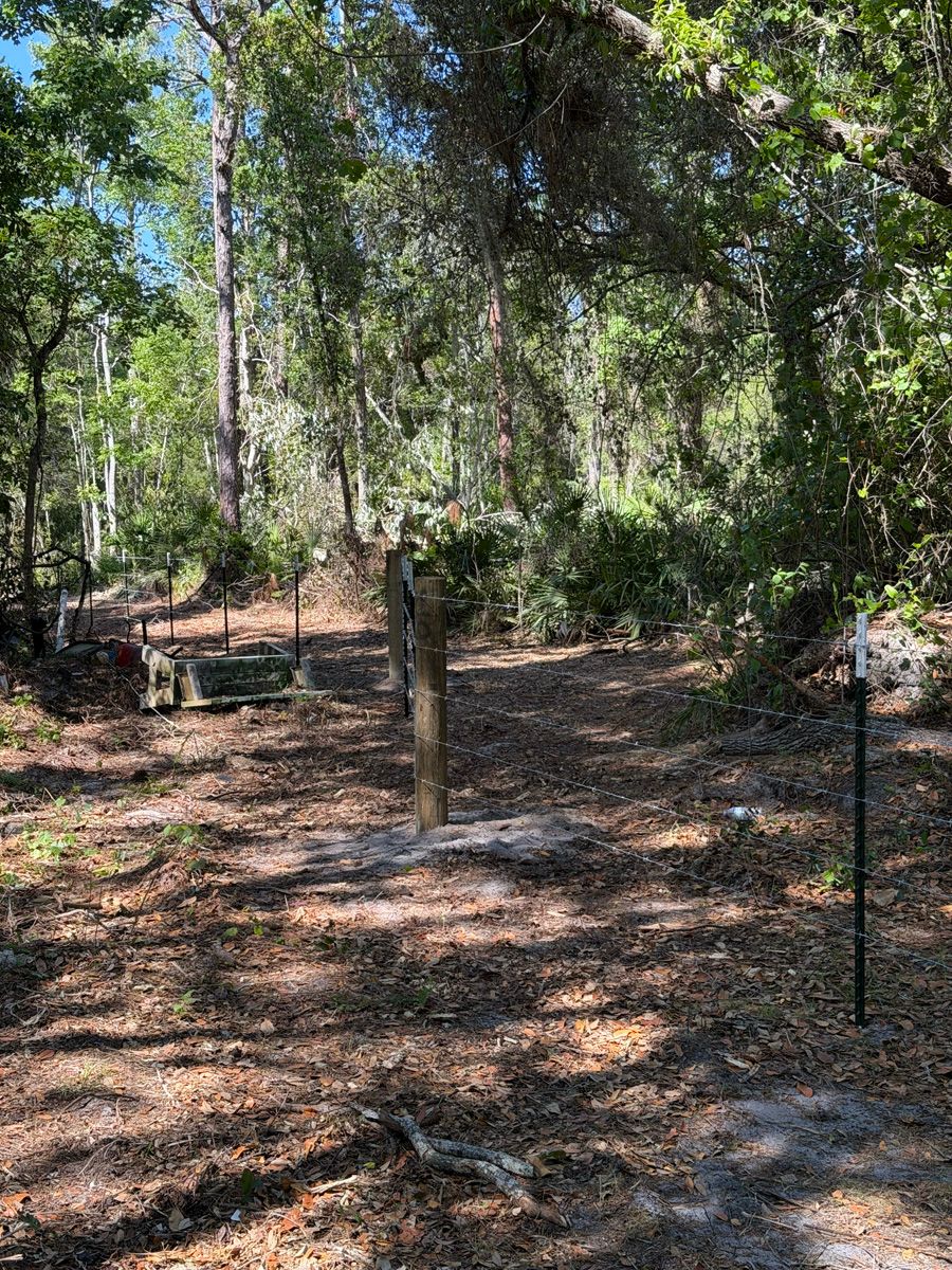 Wooded trail with dappled sunlight, scattered leaves, and a small signpost.