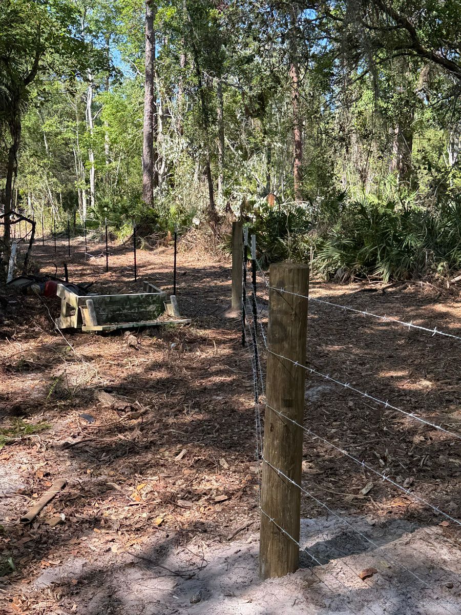 Wooded trail entrance with a wire fence gate and weathered post in a sunny forest.
