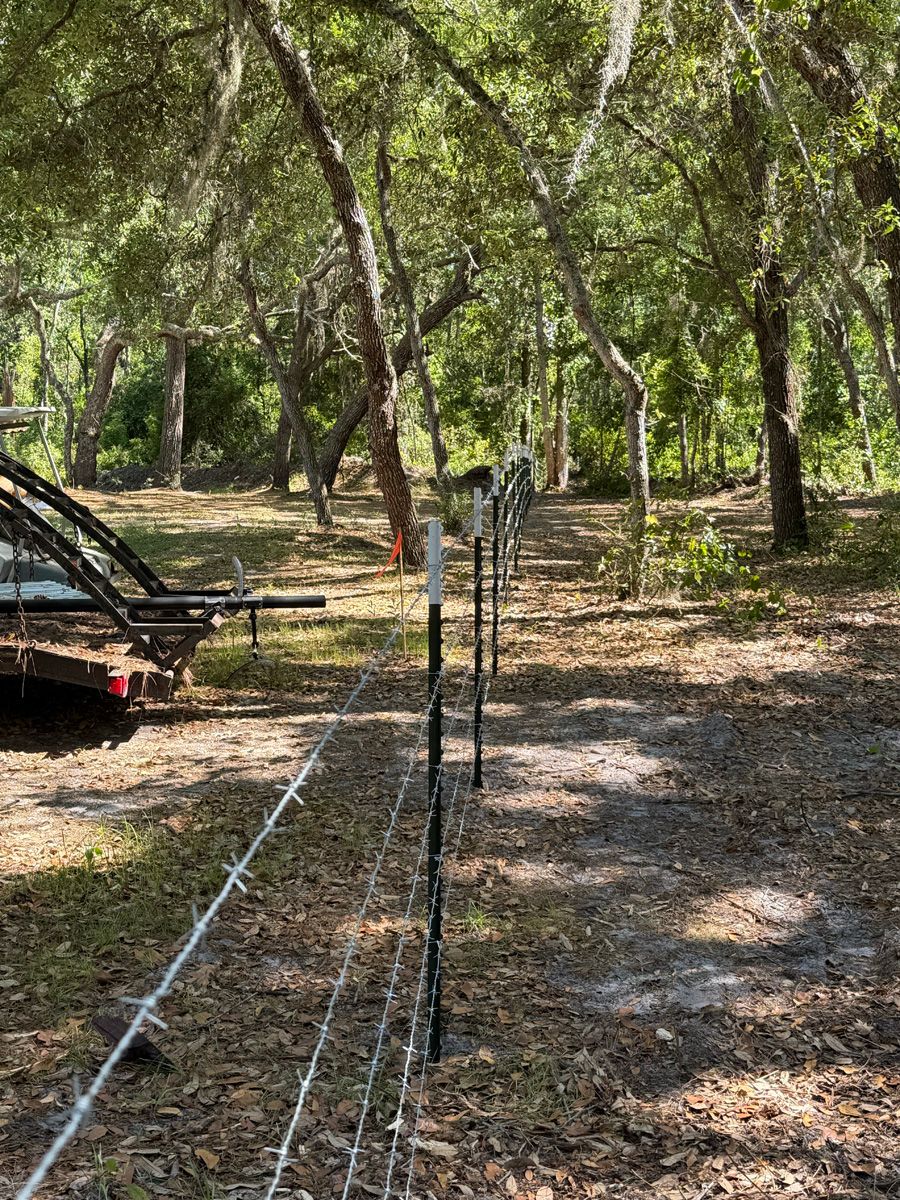 Rural wooded campsite with a fence line, dirt path, and a parked trailer on the left