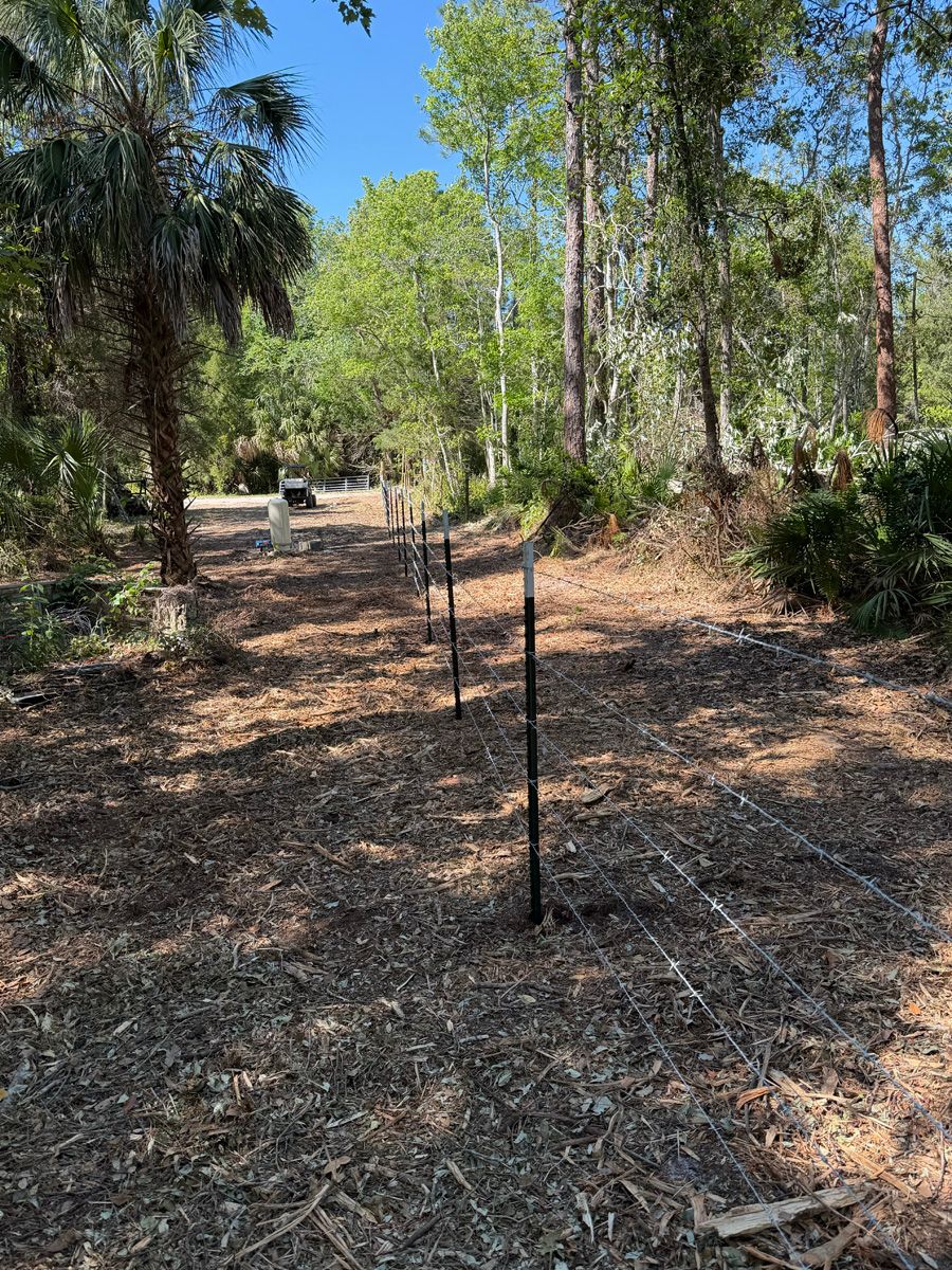 Wooded trail with a black fence post and a bench in the distance, covered in dry leaves.