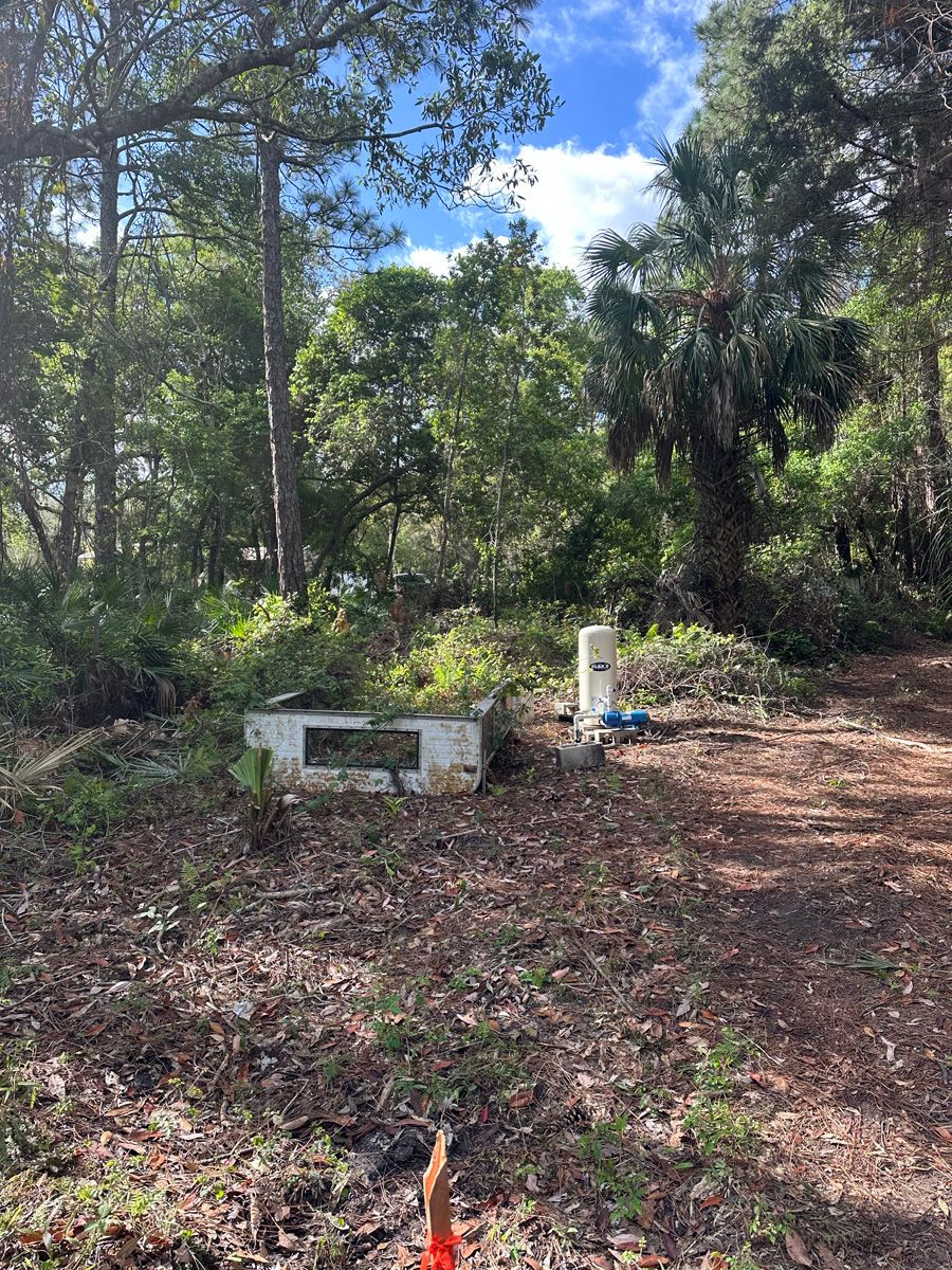 Wooded clearing with a small white utility box, leaf-covered ground, and tall trees under a blue sky