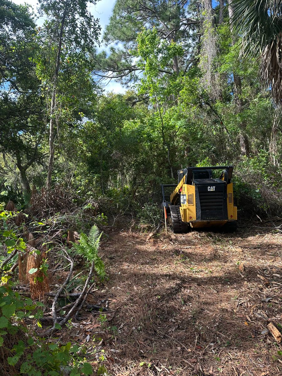 Yellow skid steer on a leafy forest trail surrounded by dense green trees