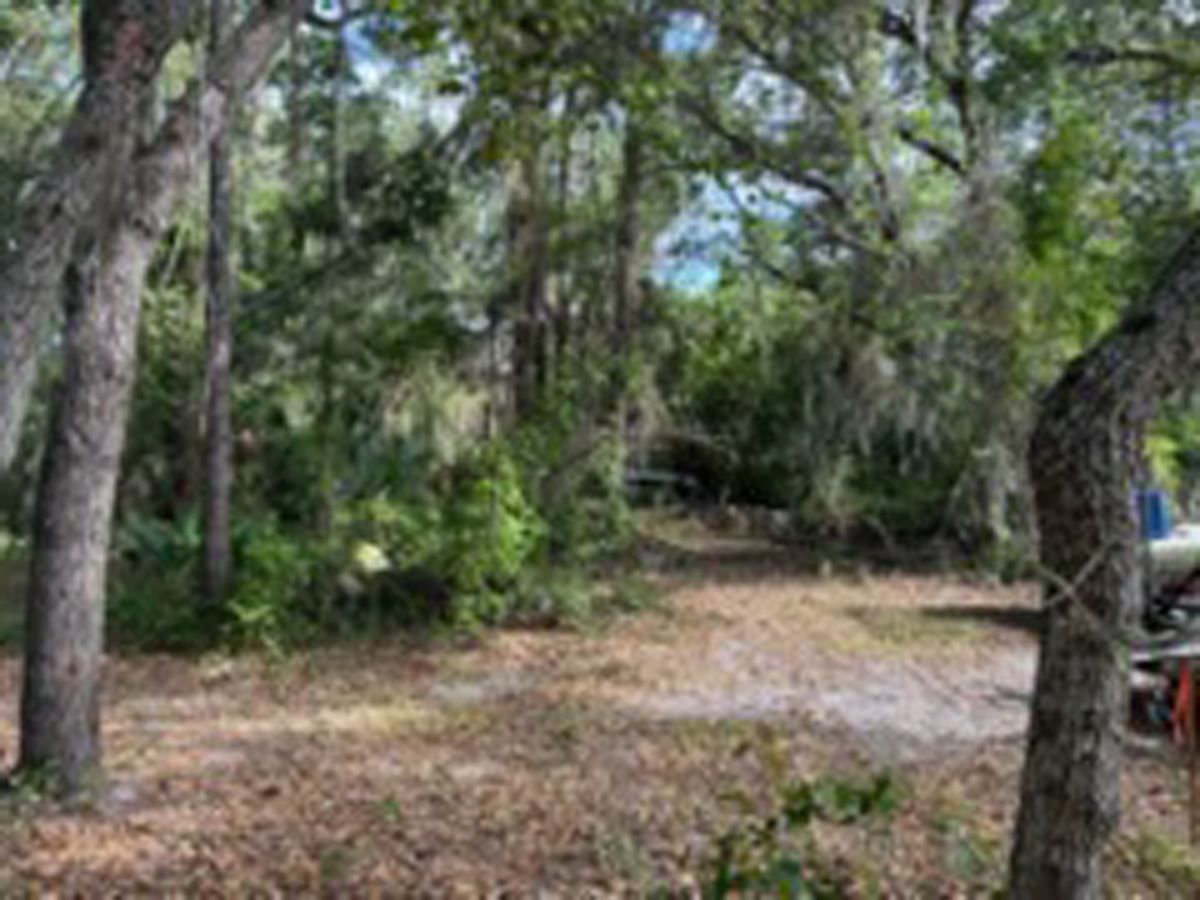 Wooded trail with leaf-covered ground and trees arching over a dirt path