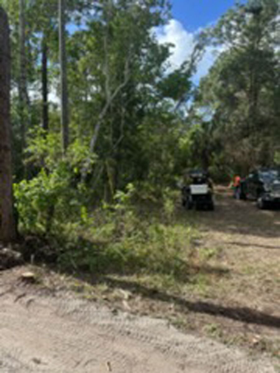 Dirt road through a wooded area with a parked off-road vehicle and people in the distance