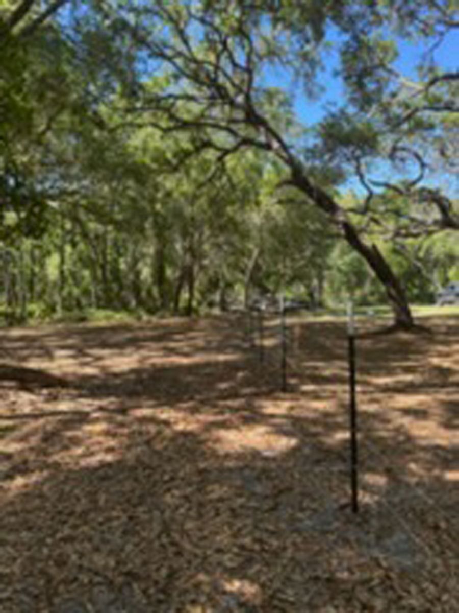 Shaded wooded trail with fallen leaves and a black metal post in the foreground