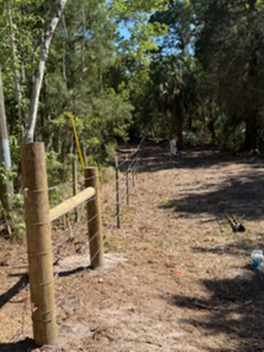 Wooden fence posts lining a dirt path through a sunny wooded area
