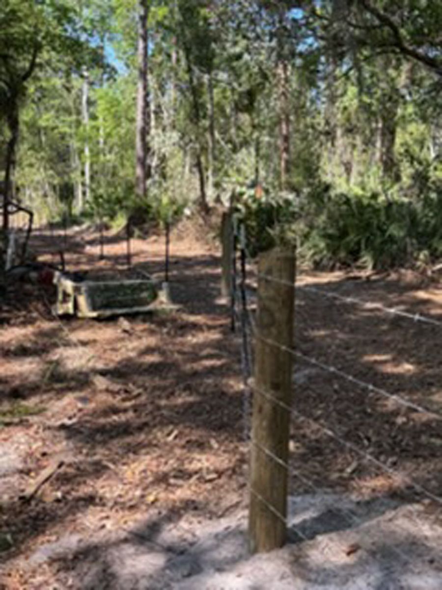 Wooded trail with a wire fence and wooden posts in the foreground