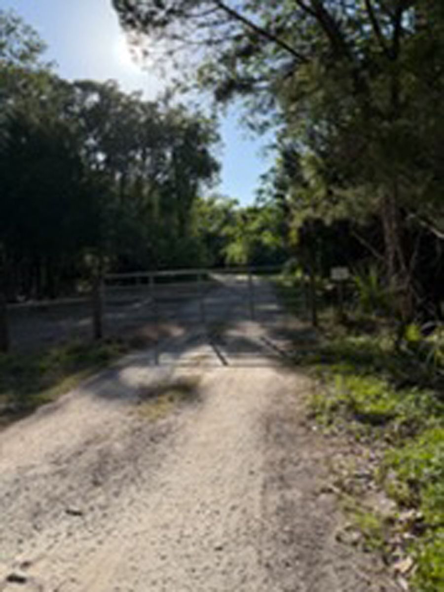 Sunlit dirt road ending at a closed metal gate, surrounded by trees and greenery
