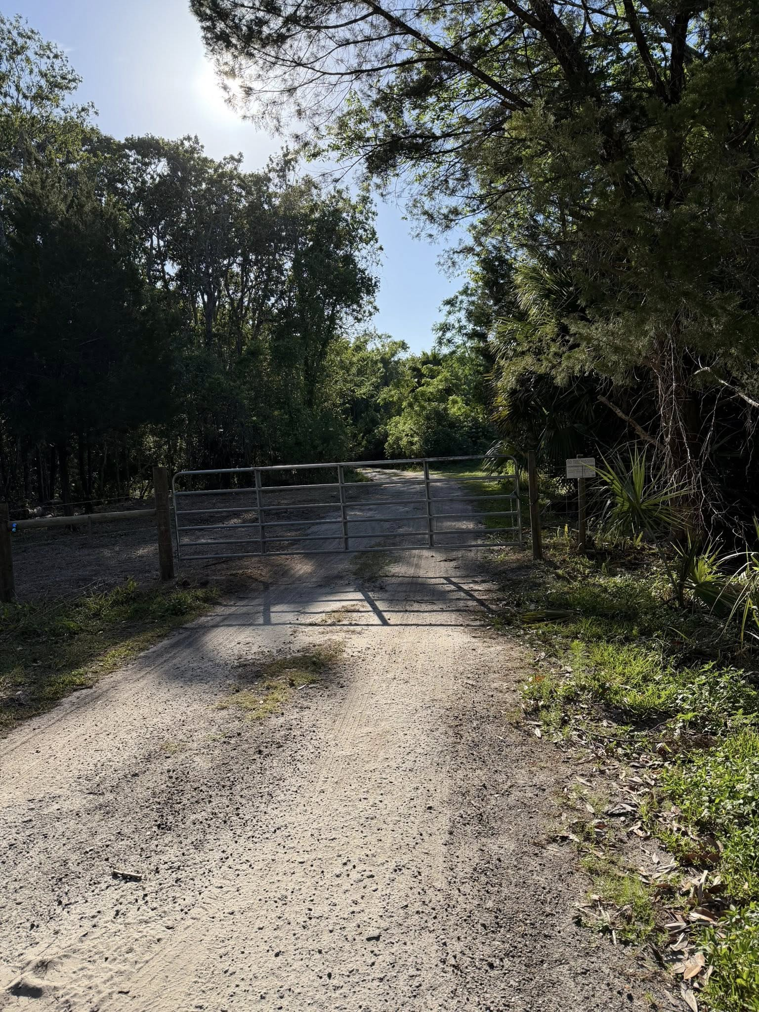 Gravel path blocked by a metal gate, surrounded by dense green trees in bright sunlight
