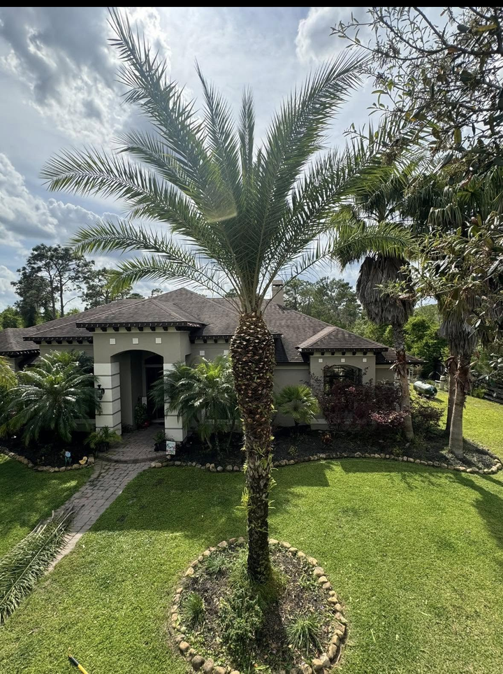 Single-story house with a palm tree and green lawn under a partly cloudy sky