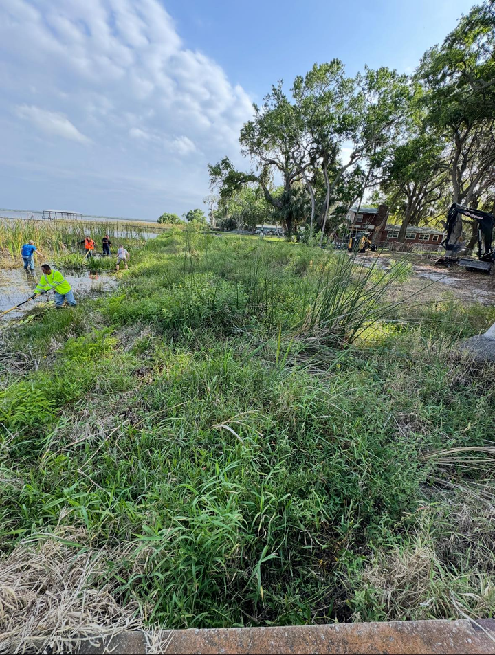 Overgrown grassy field by a tree line, with a few people in the distance under a cloudy sky