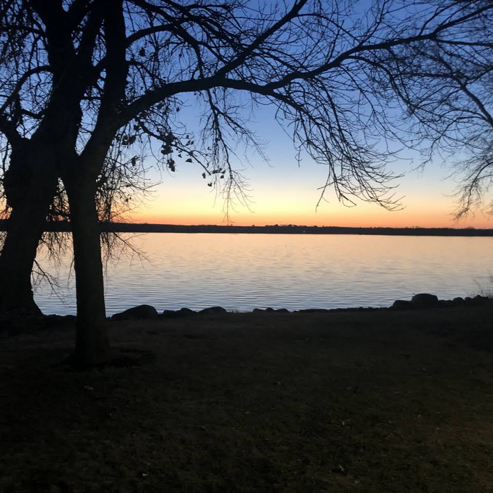 Trees and lake