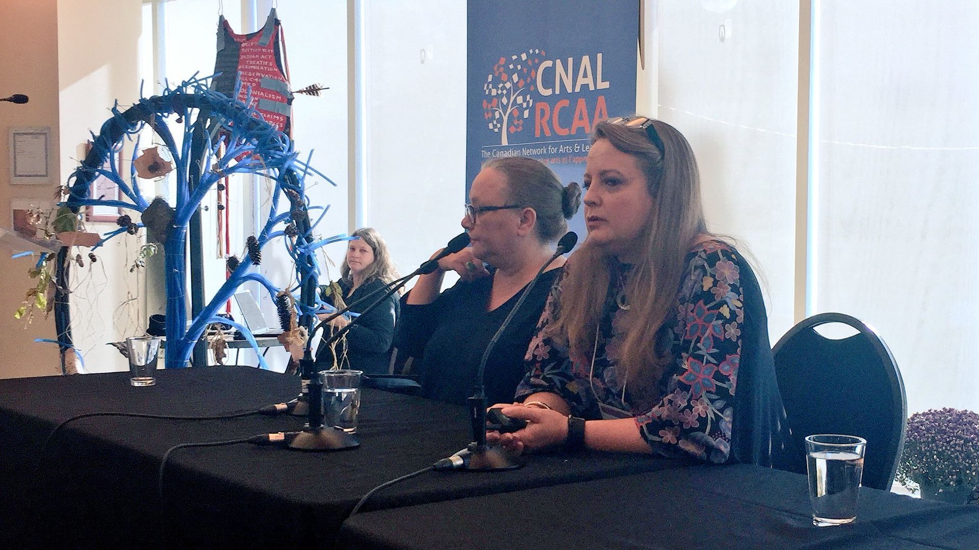 CNAL panel