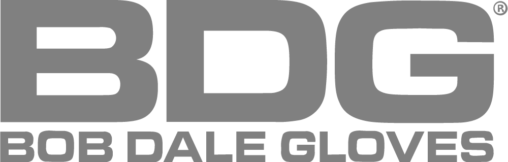 BDG logo with text 