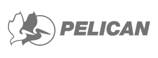 Pelican logo: Gray pelican flying, inside a circle, to the left of the word 