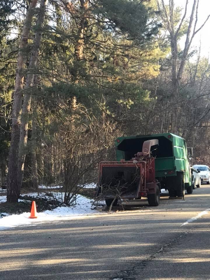 Green utility truck with open rear parked on a wooded roadside beside a cone and snow patches