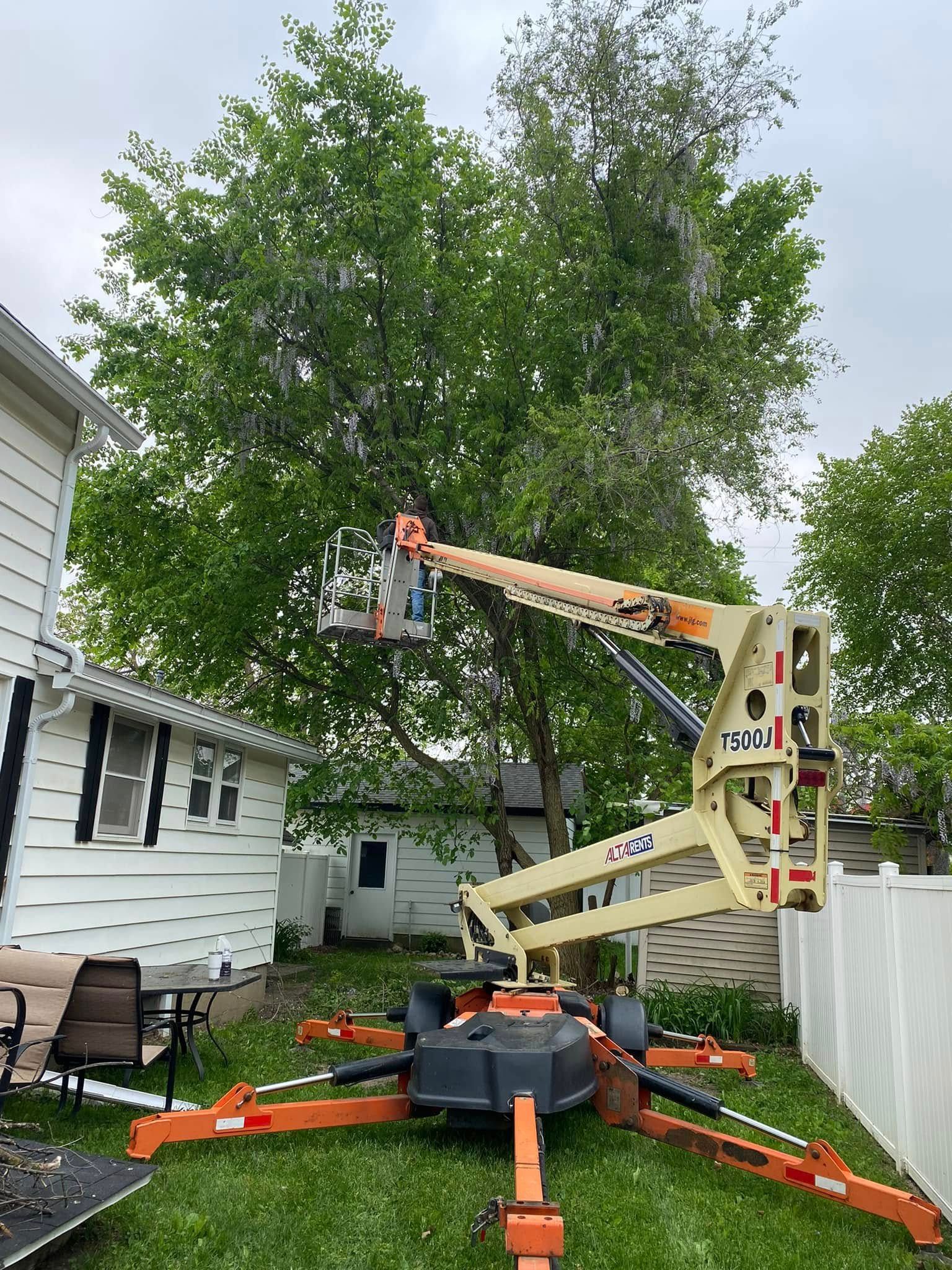 Worker in a cherry picker trimming a tall tree beside a house and fence