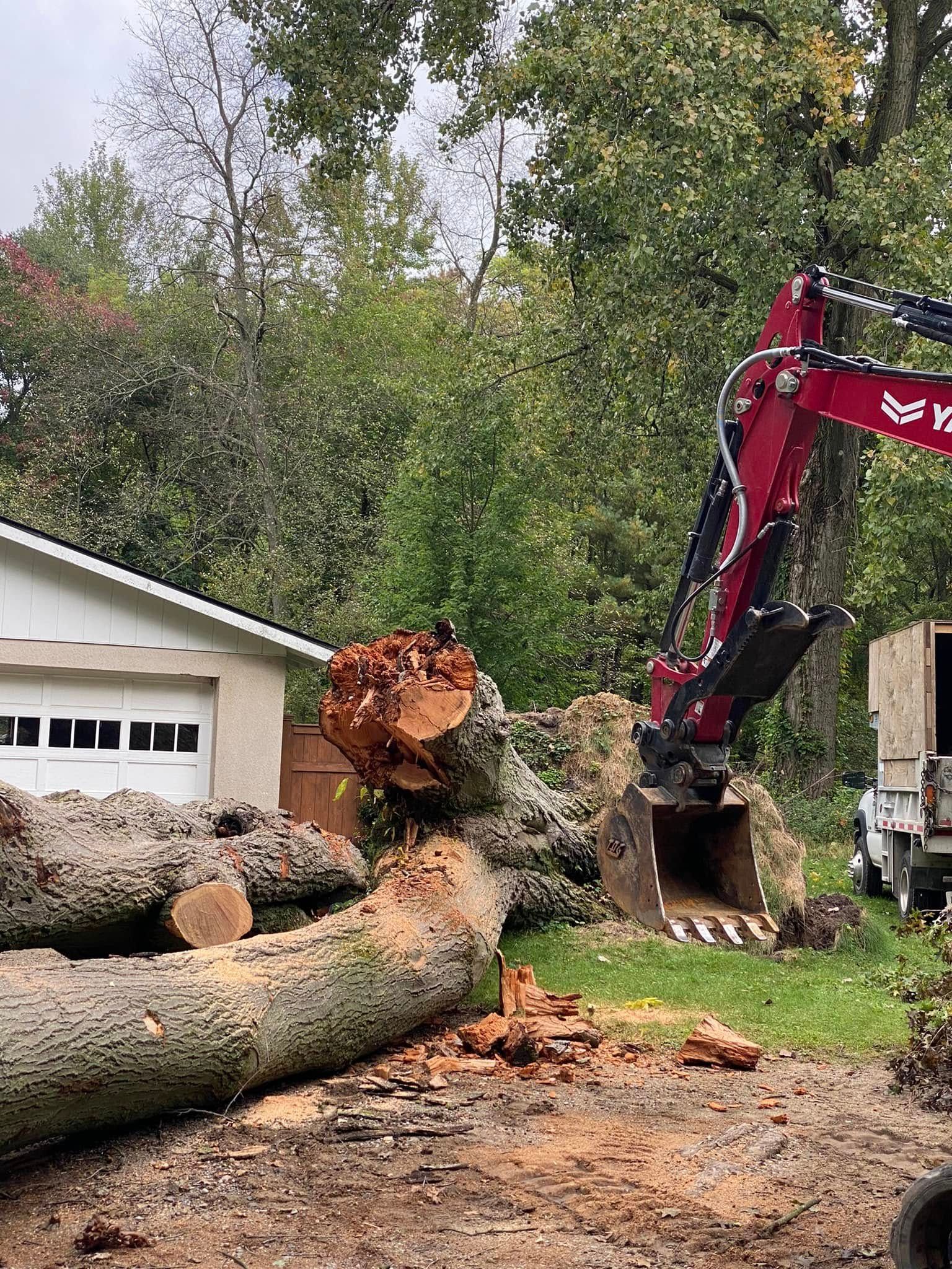 Excavator lifting a large fallen tree trunk beside a house in a wooded yard