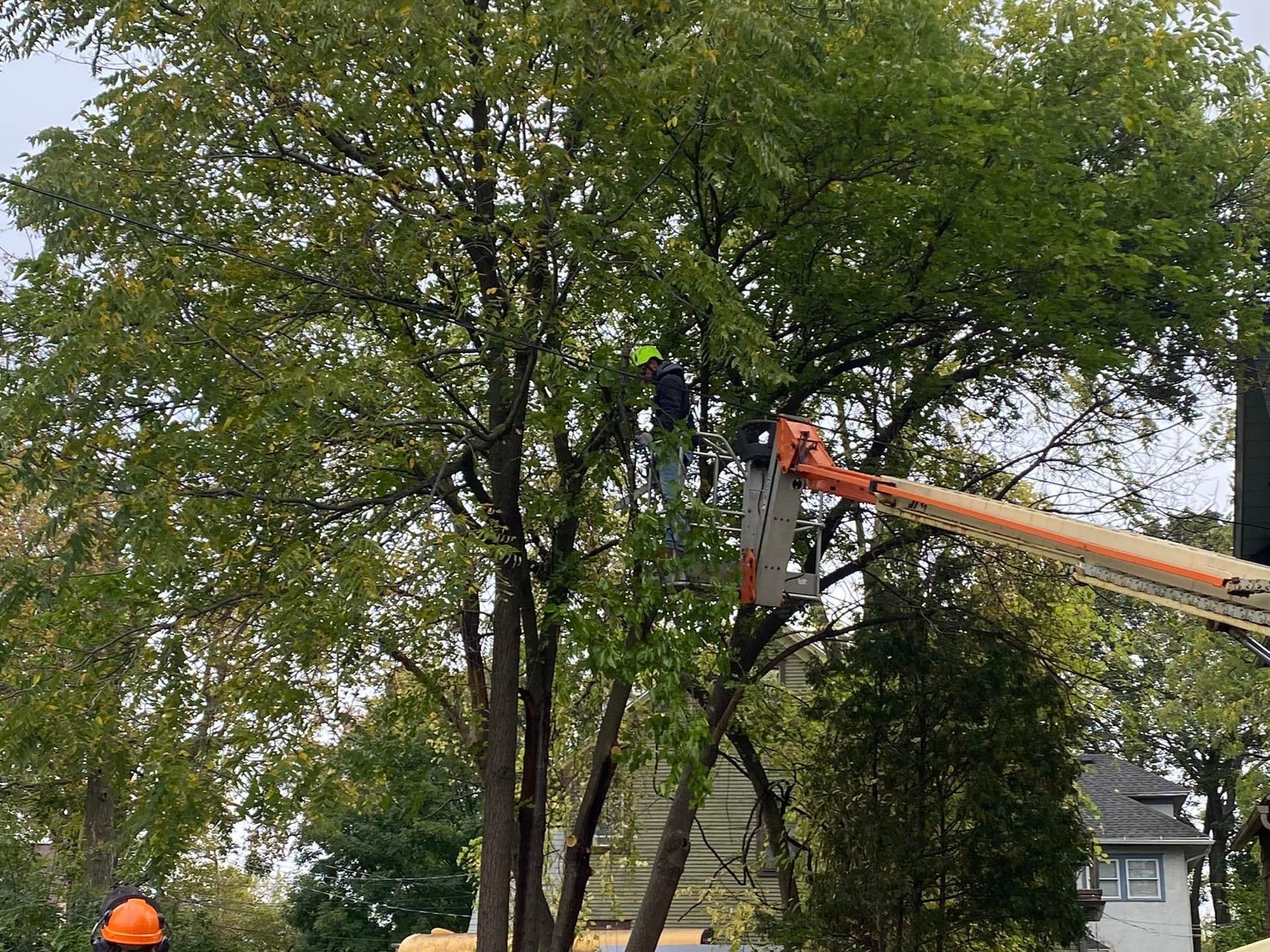 Worker in orange lift trimming a large tree beside a house, with a ground crew member below.