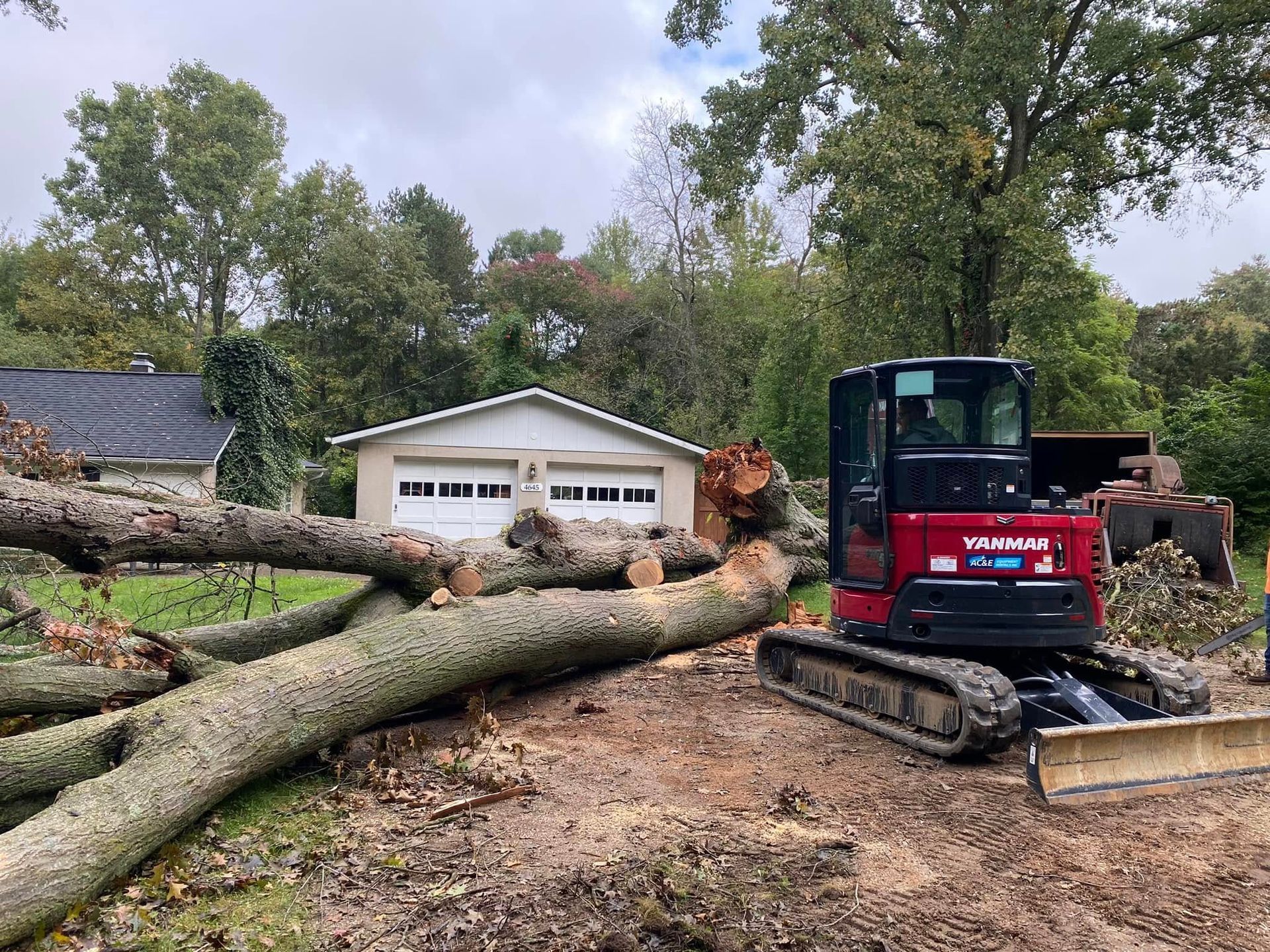 Red skid steer pushing fallen trees and debris in front of a white garage after storm cleanup