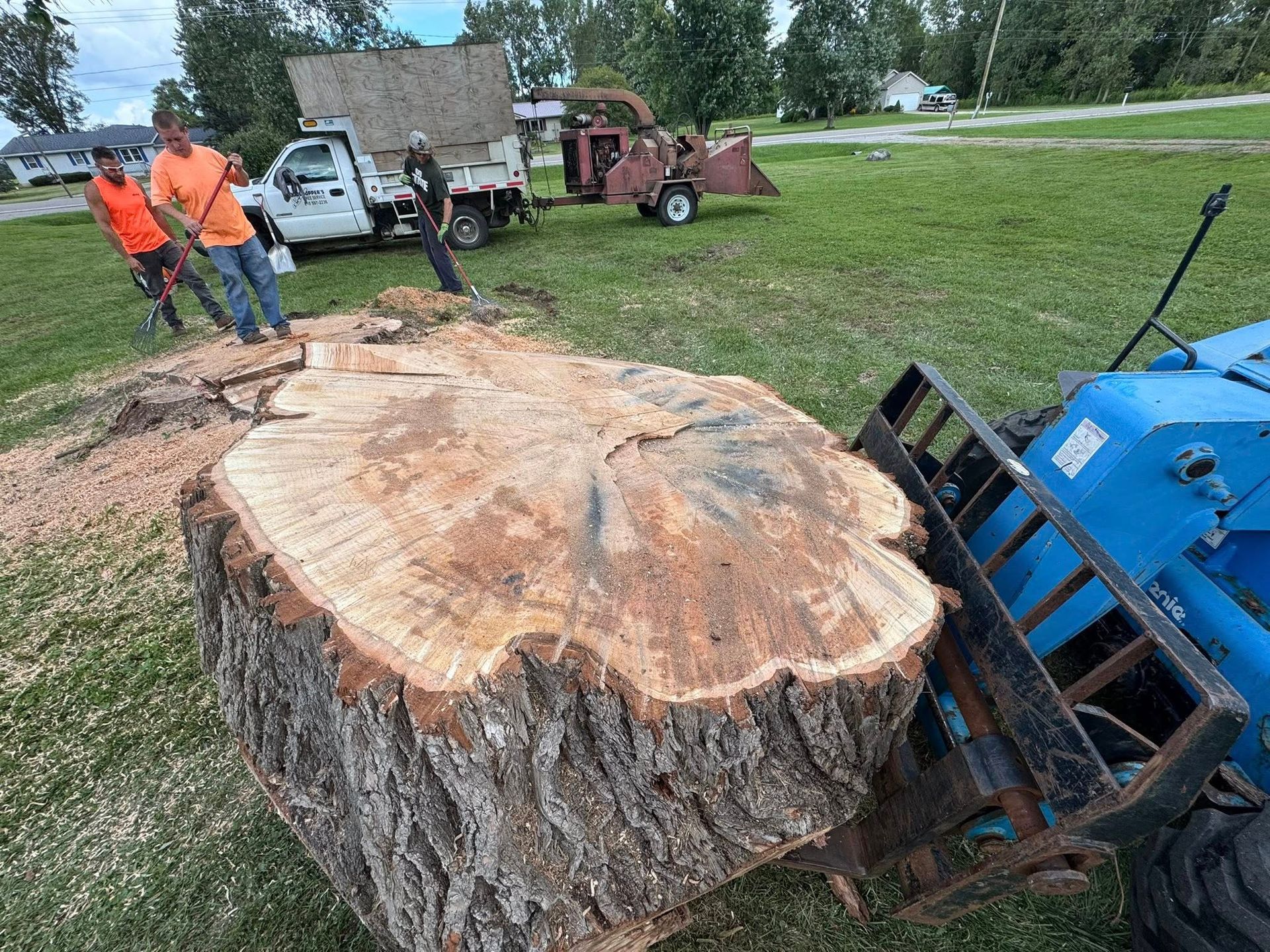 Tree stump being moved by a blue machine while workers stand nearby on a grassy roadside area
