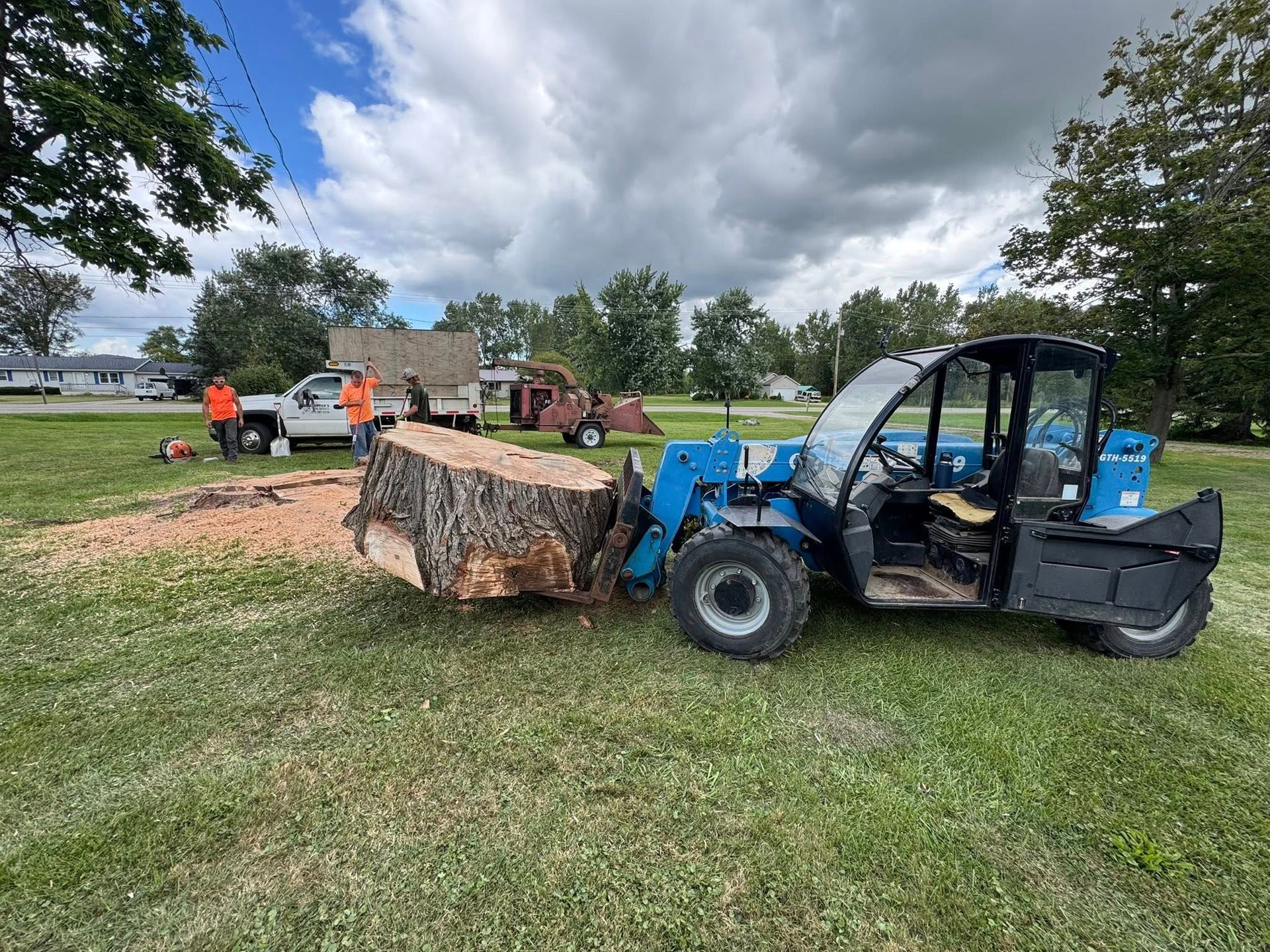 Blue utility vehicle hauling a large tree stump in a grassy park with workers nearby under cloudy skies