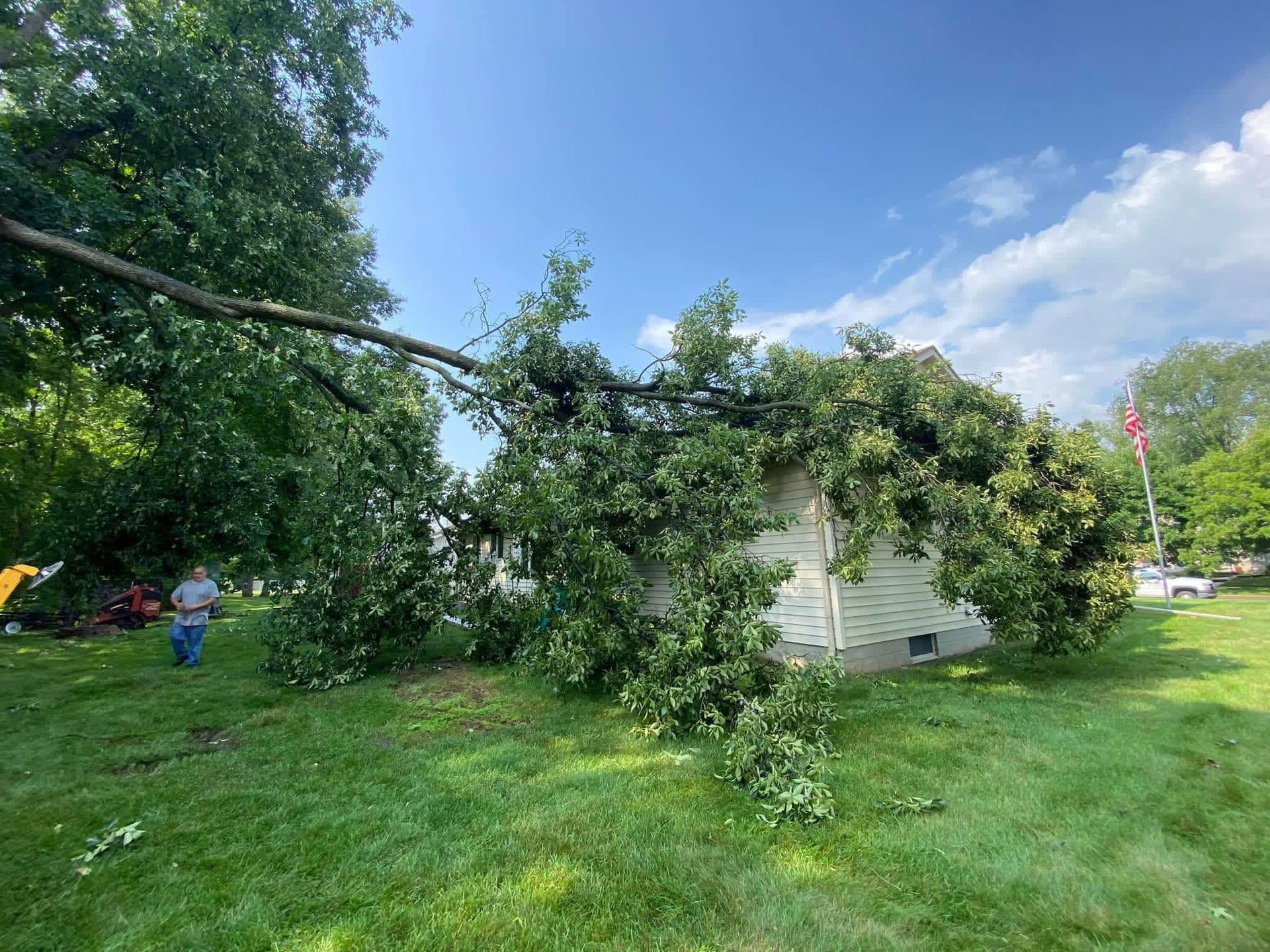 Fallen tree branches across a grassy yard near a small white shed under a blue sky