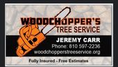 Woodchopper's Tree Service business card with orange chainsaw logo, Jeremy Carr, phone number, website, fully insured