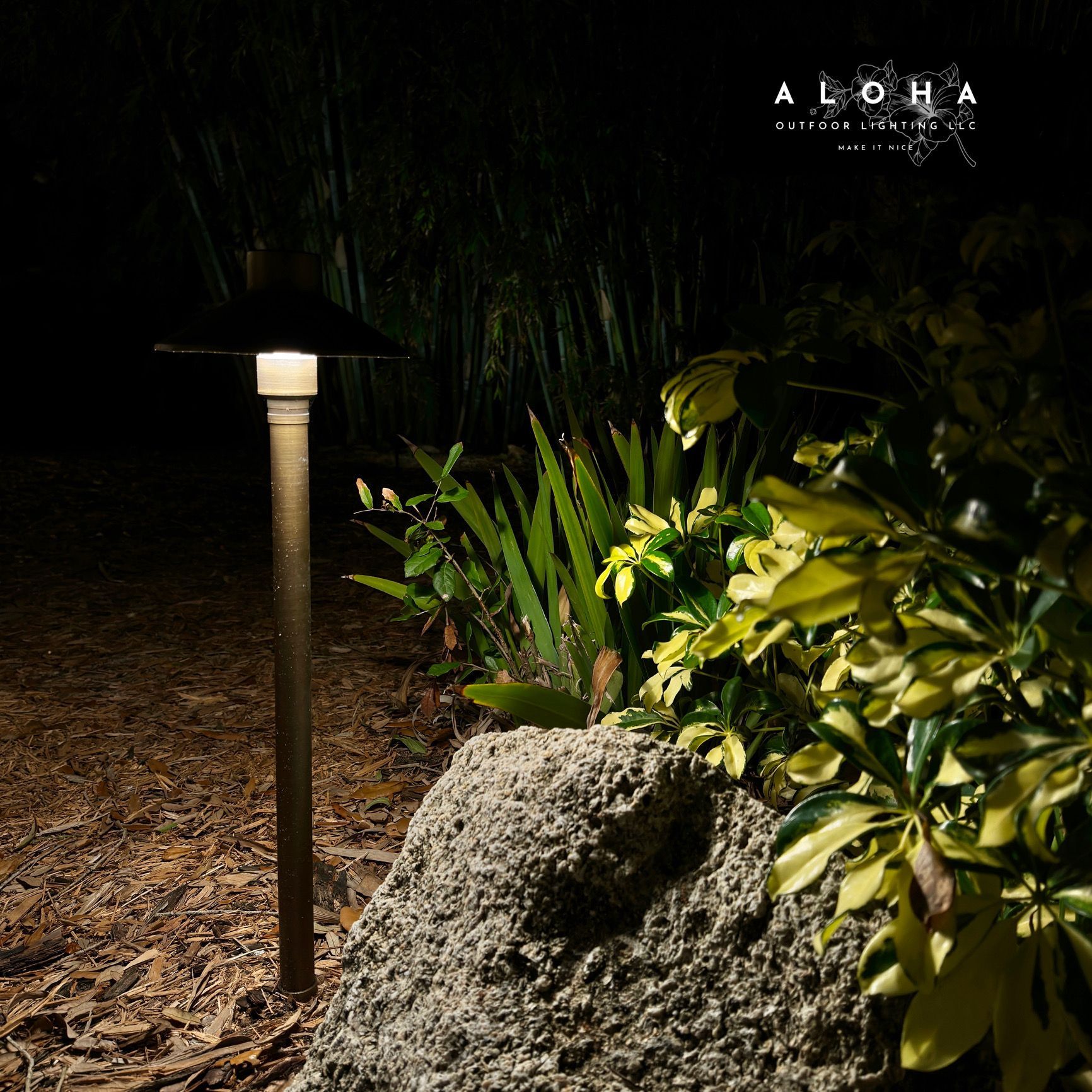 Bronze landscape light illuminating plants and a rock at night.