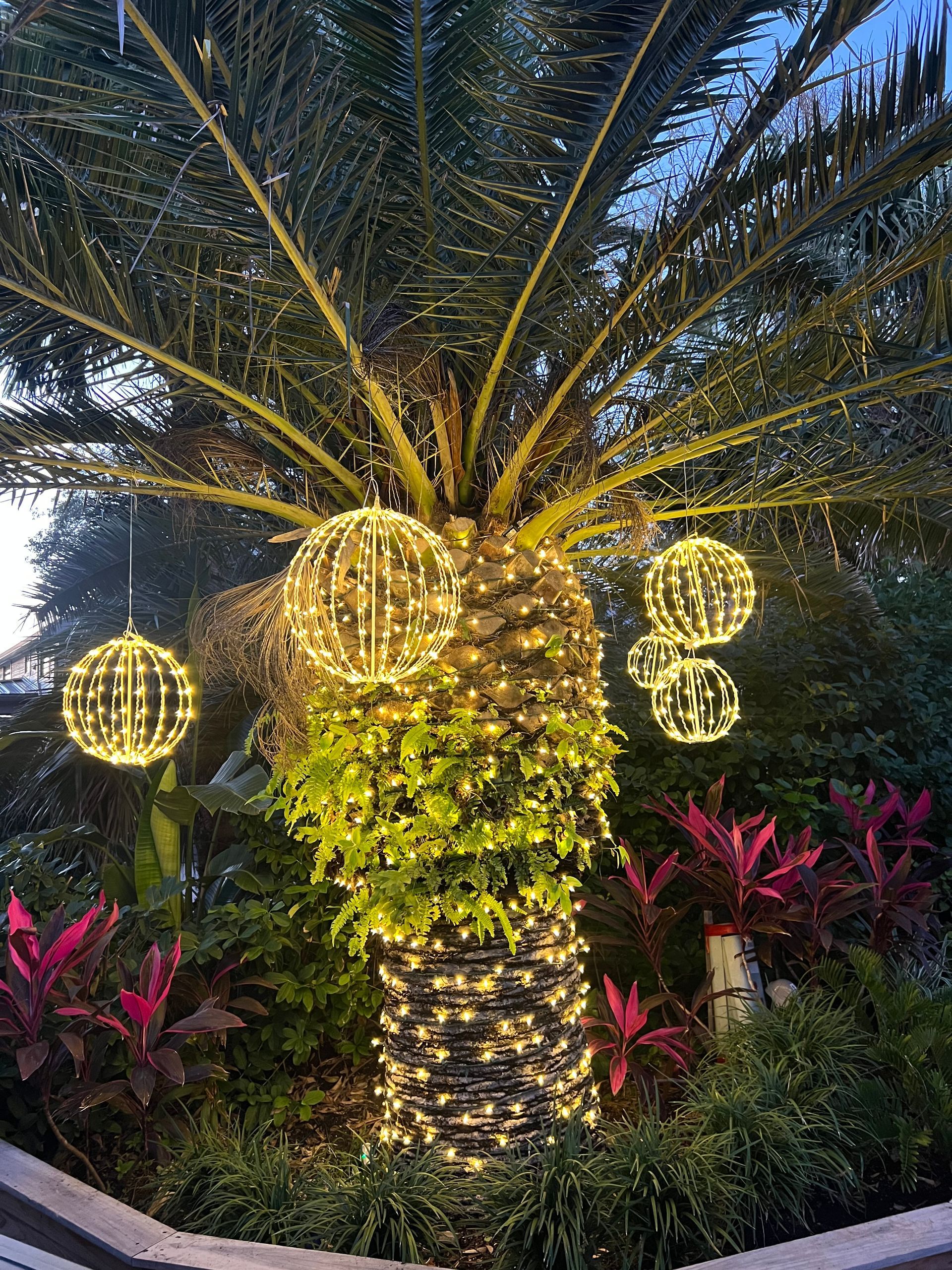 Palm tree decorated with string lights and glowing orbs, surrounded by colorful foliage.