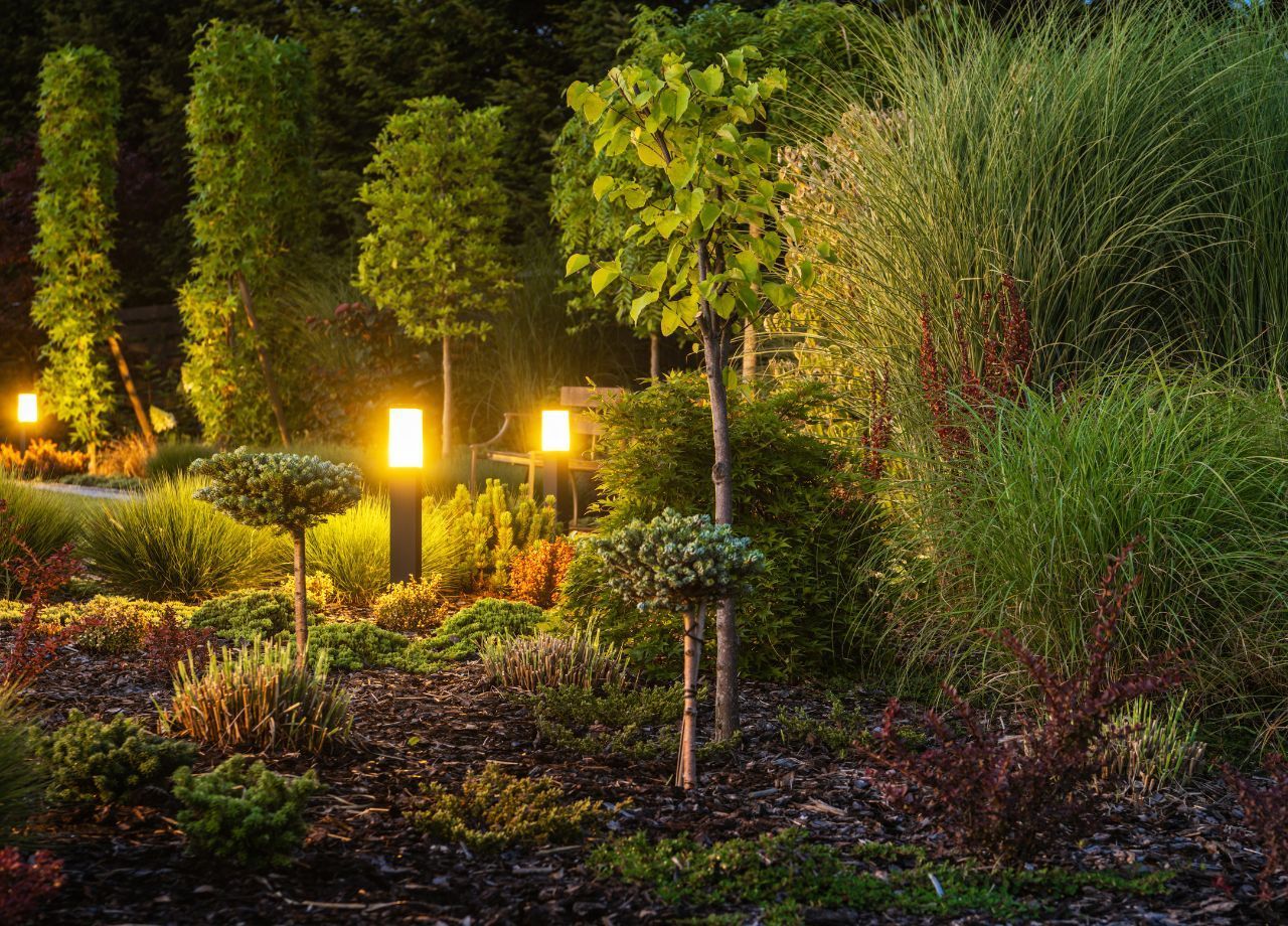 Best Color Temperature for Florida Landscaping
