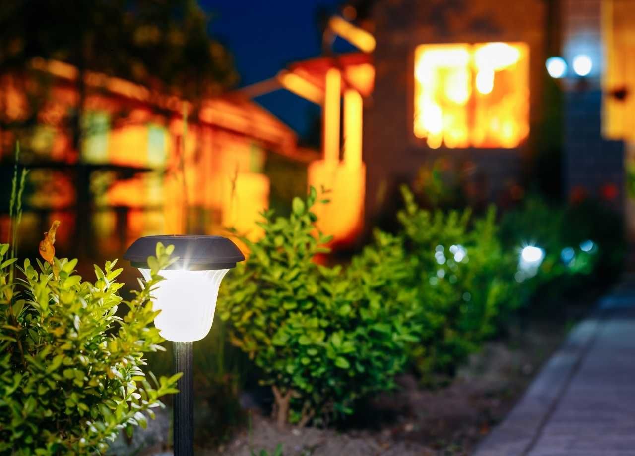 A glowing solar landscape light illuminates a small shrubbery at dusk near a building with warm interior lighting.