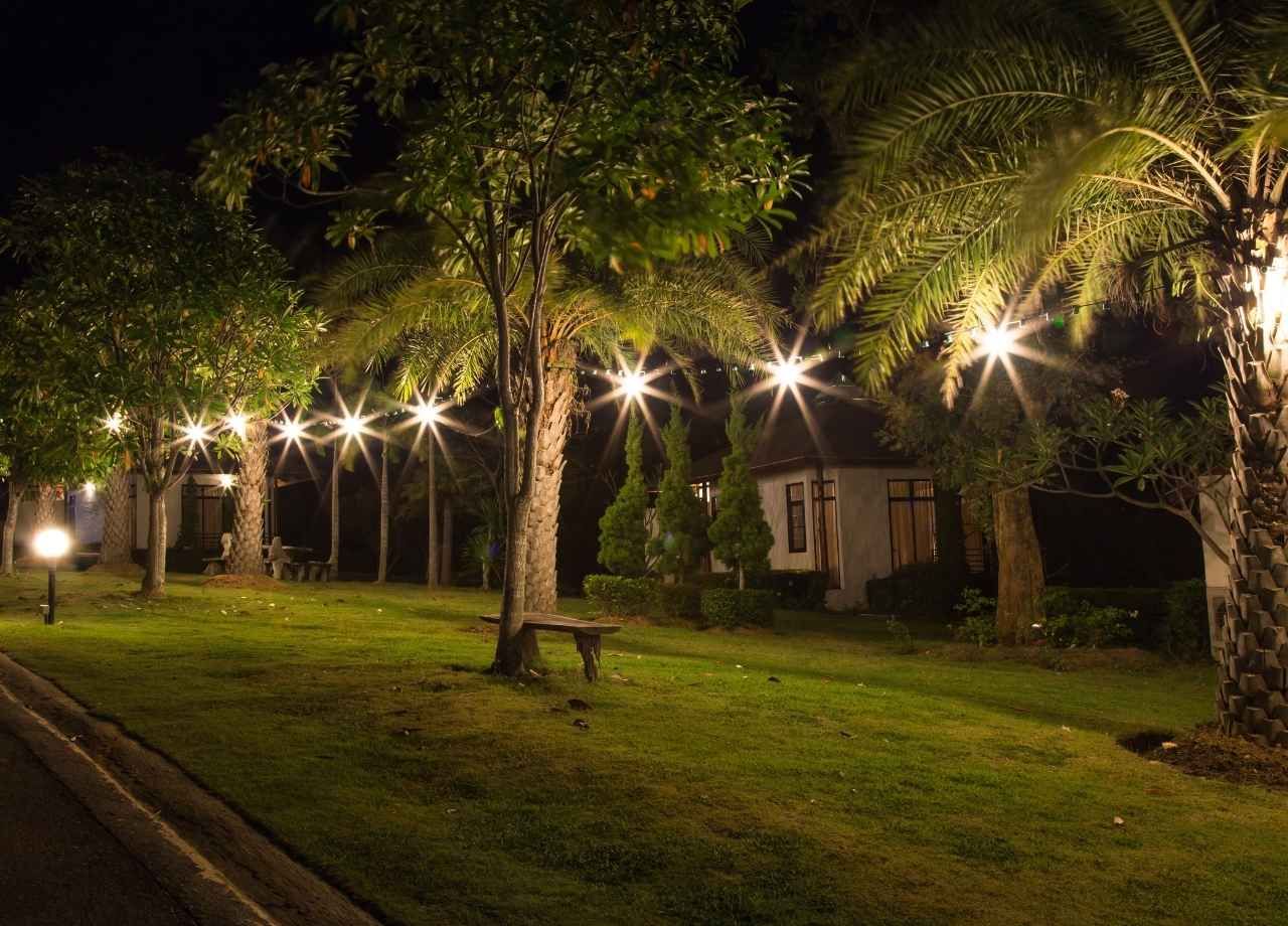 Night scene: trees with string lights, grass, small buildings in the background.