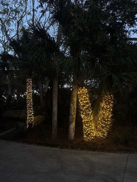 Palm trees wrapped in warm white Christmas lights.