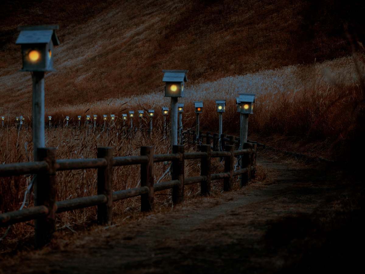 Wooden fence with glowing lanterns marking a path through dry, brown grass under a dusky sky.