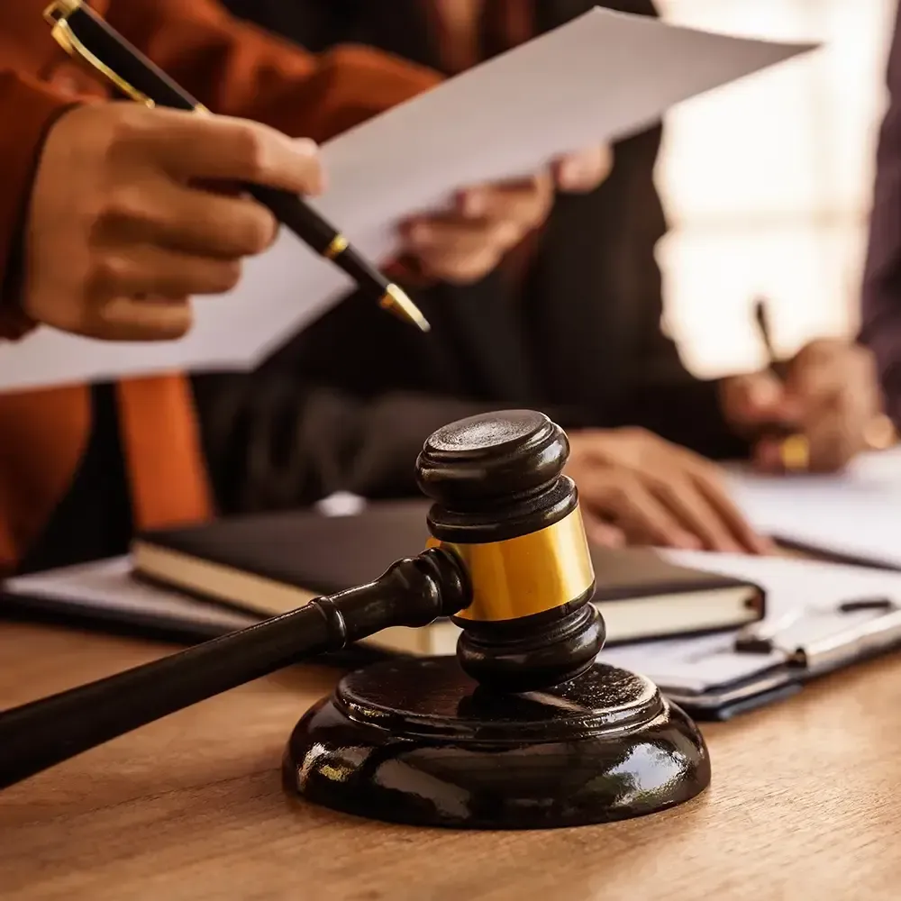 litigation services